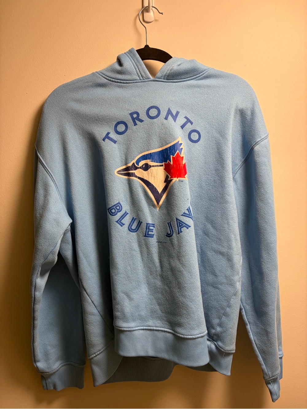 Toronto Blue Jays Light Blue Hooded Sweatshirt - Team Logo Pullover